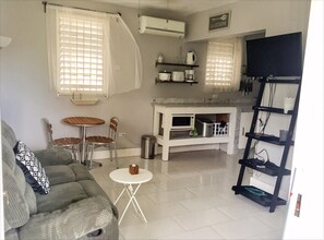 Smart TV, DVD player, books, video library