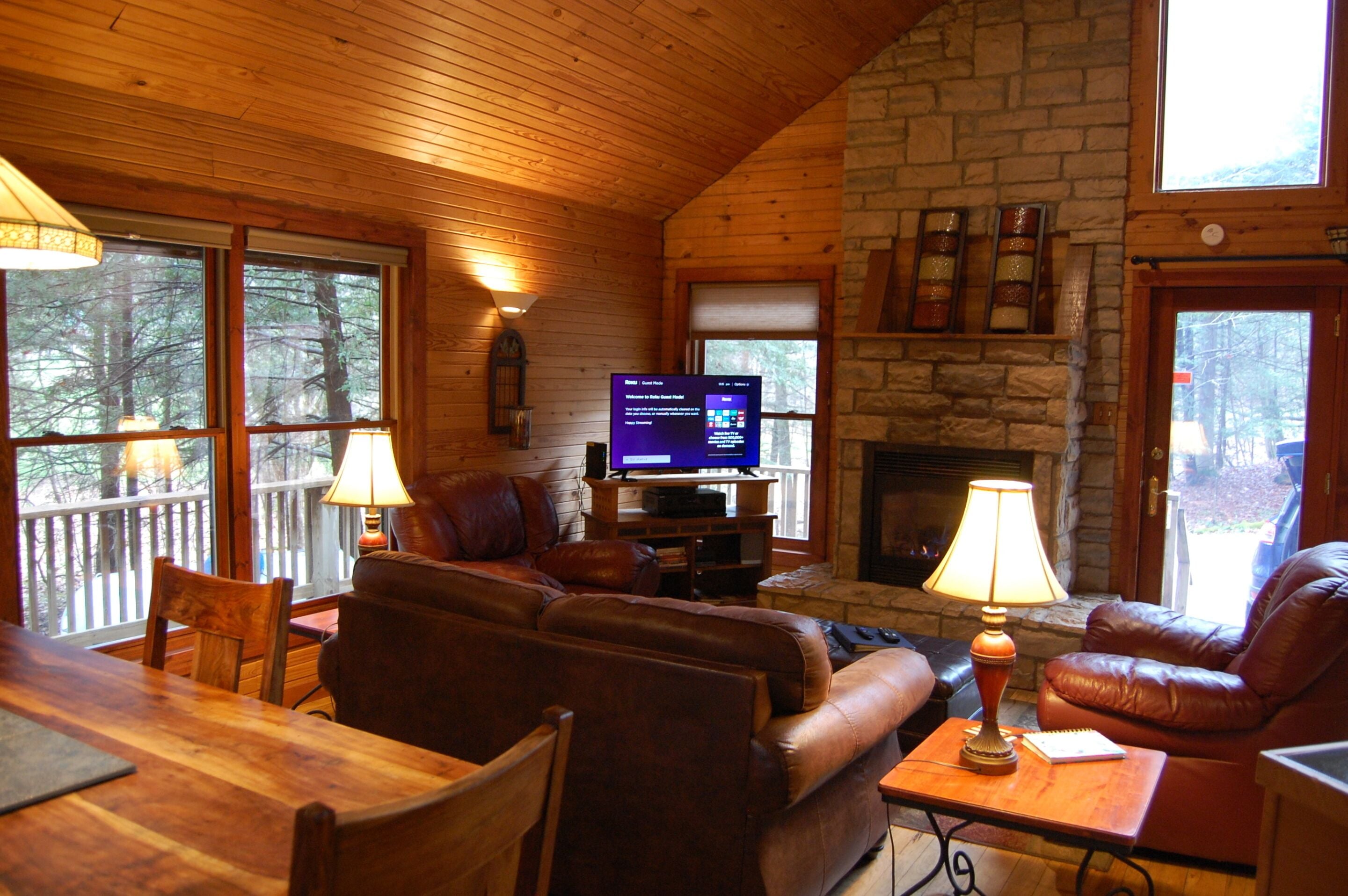 TV, fireplace, DVD player, books