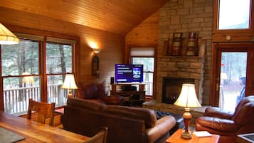 TV, fireplace, DVD player, books