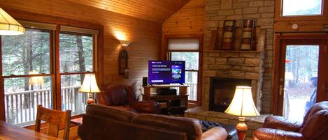 TV, fireplace, DVD player, books