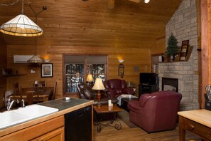 TV, fireplace, DVD player, books