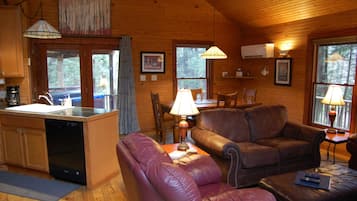 TV, fireplace, DVD player, books