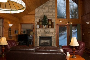 TV, fireplace, DVD player, books