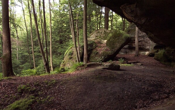 Unclassified image, 1 of 25, button