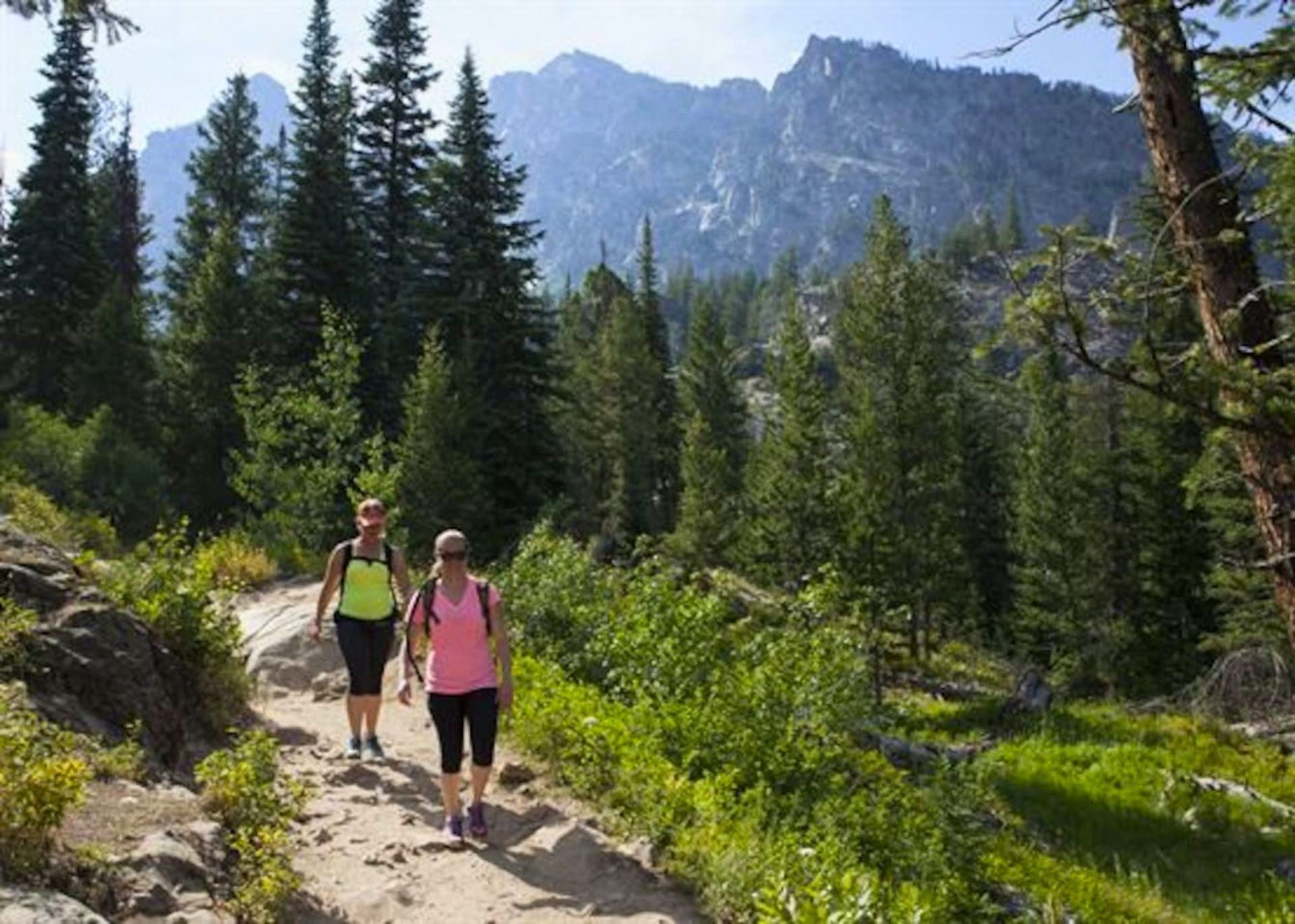 Two people hiking on a trail surrounded by trees and mountains.