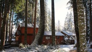 Une cabane entourée de grands arbres, et le sol est recouvert de neige.
