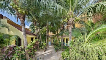 Terrein van de accommodatie