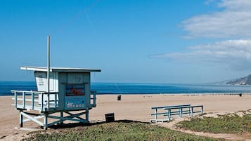Camastros y toallas de playa
