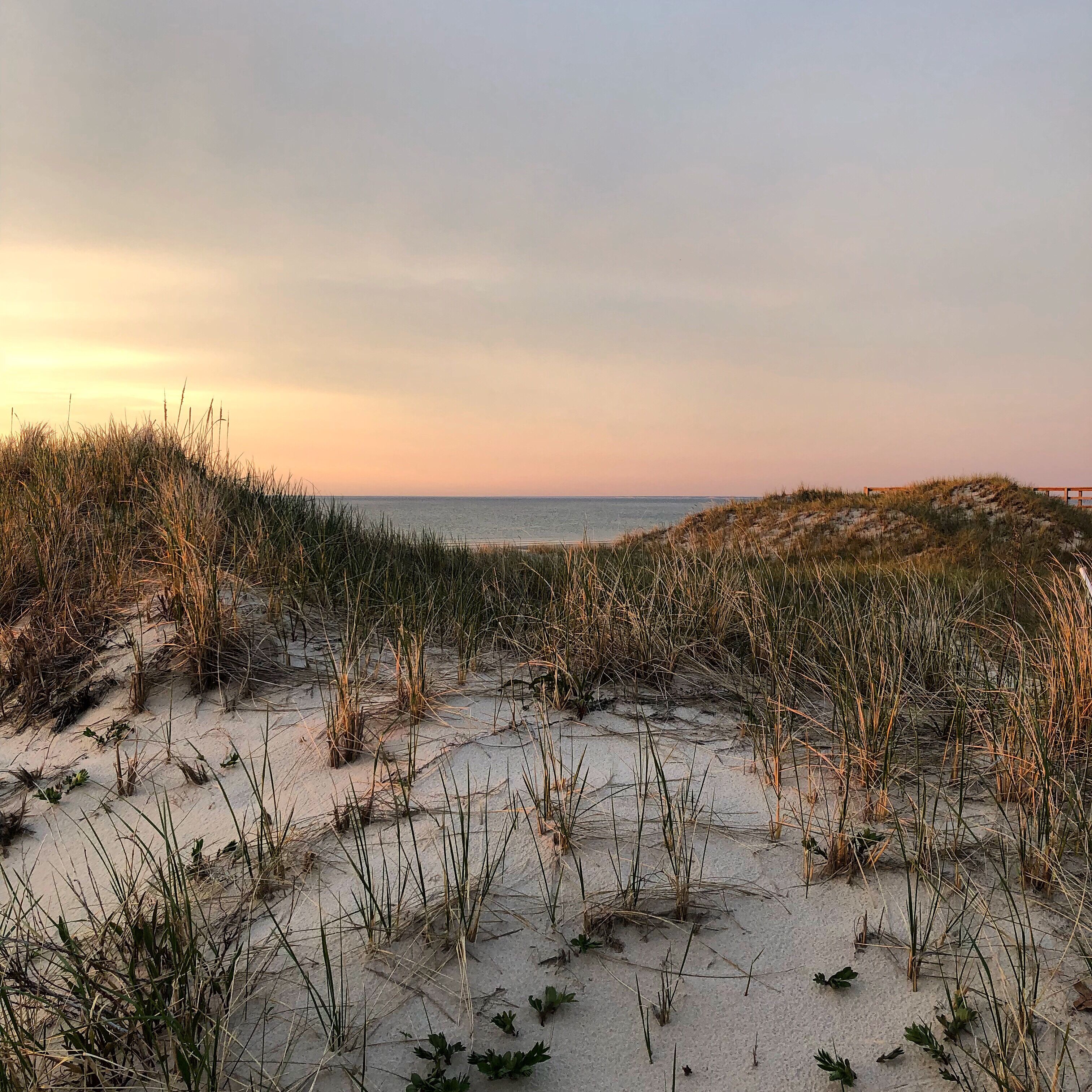 Hidden paradise in Quivet Neck
