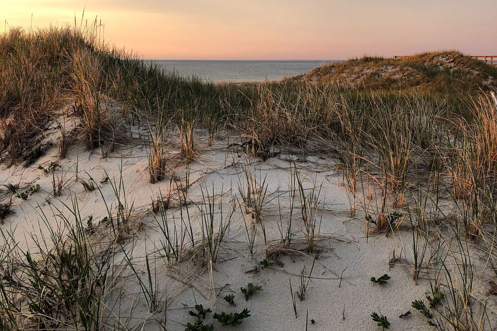 Hidden paradise in Quivet Neck