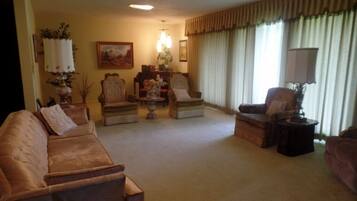 智能电视、壁炉、DVD 播放器、书