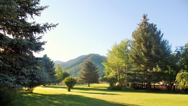 A grassy area with trees and a mountain in the background.