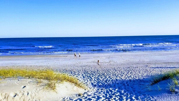 A beach with clear blue water, sandy shore, and sparse vegetation. - BEACH TIME!  Ocean side! Private area, no crowds - Steps from sand.  Downstairs. (Atlantic Beach)