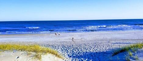 On the beach, sun-loungers
