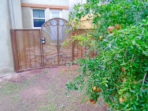 Enter a serene residential setting through the decorative gate, surrounded by a lush garden with a variety of fruits.