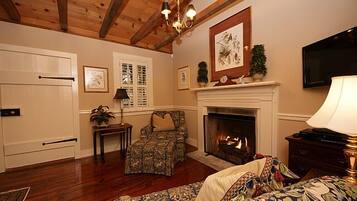 TV, fireplace, books