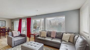 Télévision, cheminée, lecteur de DVD