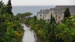 A residential area with a paved pathway lined with tropical plants and houses with balconies overlooking the ocean.