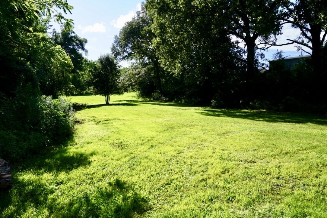 A grassy outdoor area with trees and a clear sky.