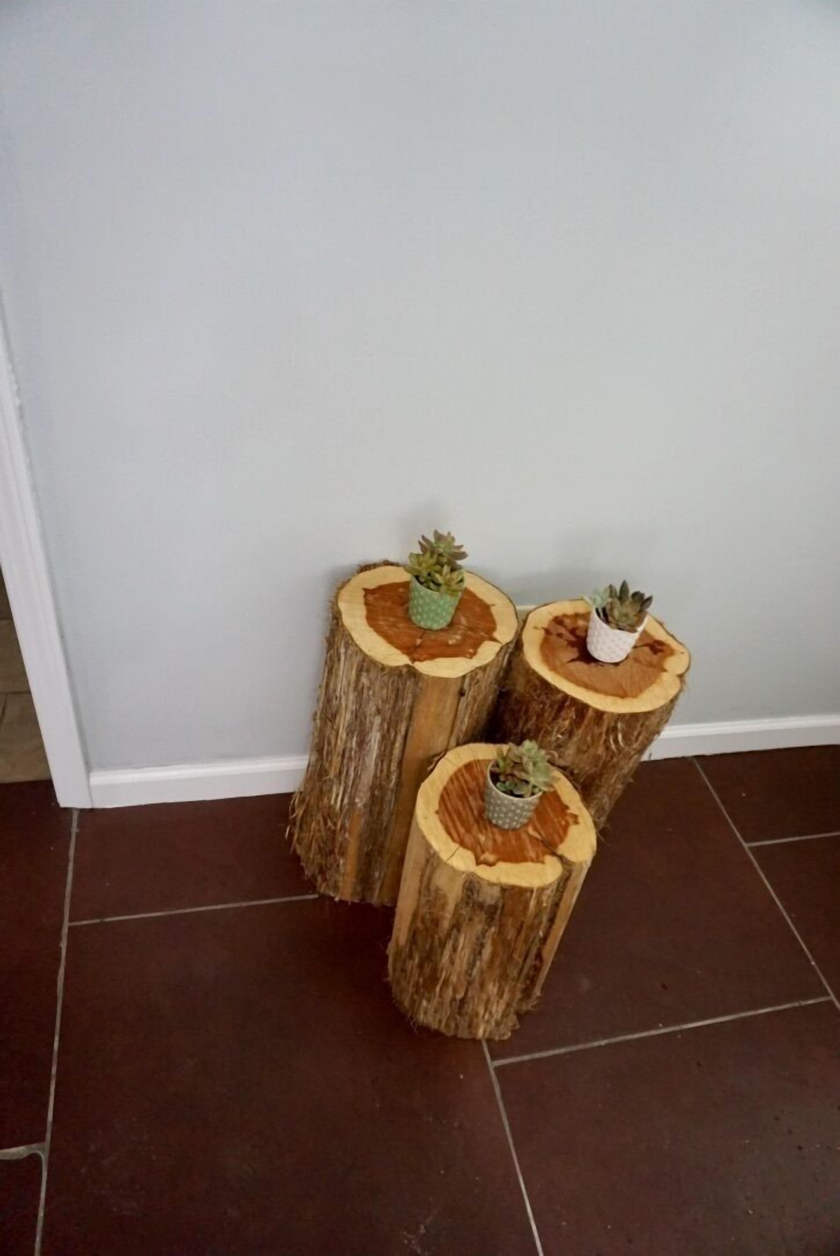 Drie houten tafels op boomstompjes, met potplanten.