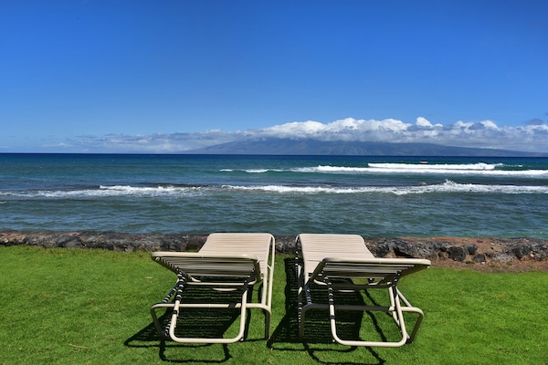 施設の敷地