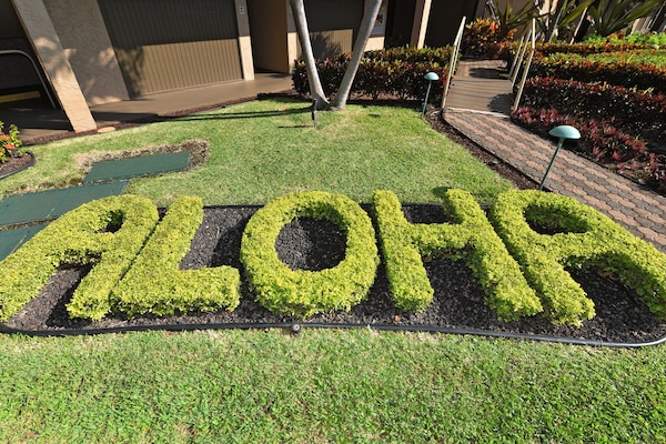 Come immerse yourself in the Aloha spirit - Welcome.