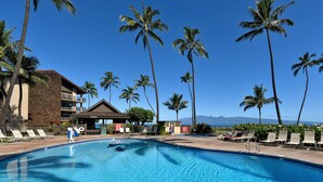Un área de piscina con sillones de descanso y palmeras, un edificio con fachada de piedra, y un cielo azul despejado.