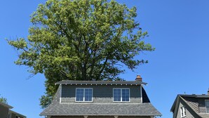 Ein zweistöckiges Haus mit Veranda, einem großen Baum und einem gepflegten Rasen.