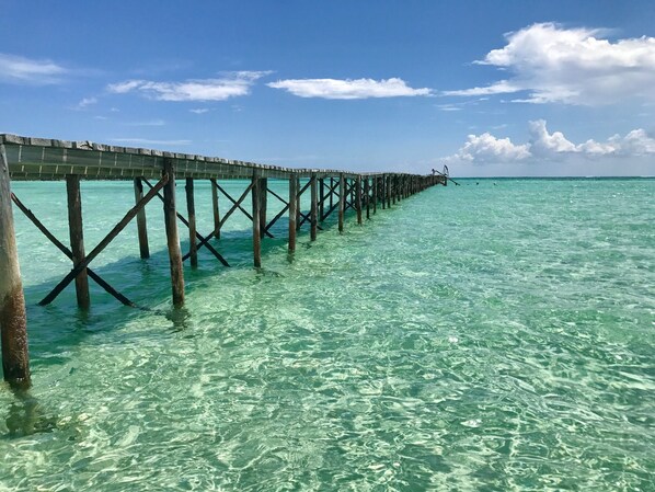 على الشاطئ، كراسي للتشمس، مناشف للشاطئ