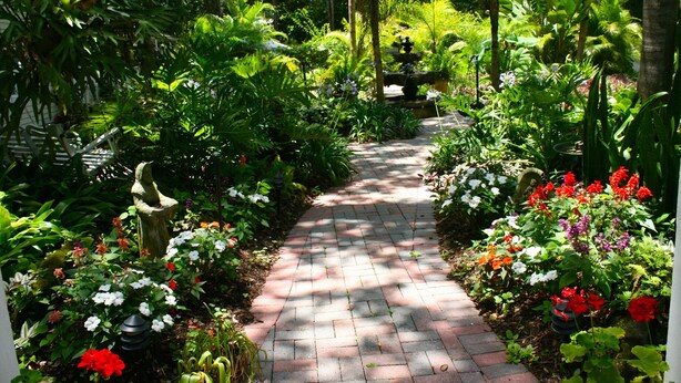A garden pathway with a brick surface, surrounded by various plants and flowers. - "Your Own Private Resort" at 9 Oaks!            (New Smyrna Beach)