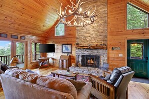 Smart TV, fireplace, DVD player, books