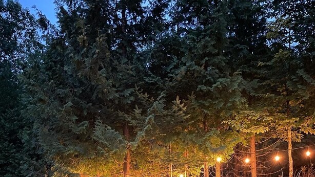 A backyard with a stone retaining wall, a grassy area, and a row of trees. - Peaceful, Cozy, Clean, Fun Mid-Century Stay! Backyard Oasis Waterfall, Fireplace (Fish Creek)