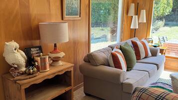 TV, fireplace, DVD player, books