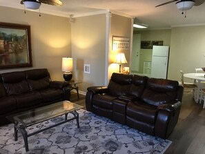 Smart TV, fireplace, DVD player, books