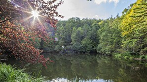 Un lac paisible, entouré d’une forêt dense, où la lumière du soleil filtre à travers les arbres.