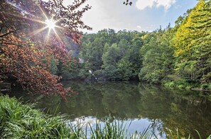 A serene lake surrounded by dense forest with sunlight filtering through the trees. - Honeymoon, private settings, 10 min from main street, family fun, fishing pond (Sevierville)