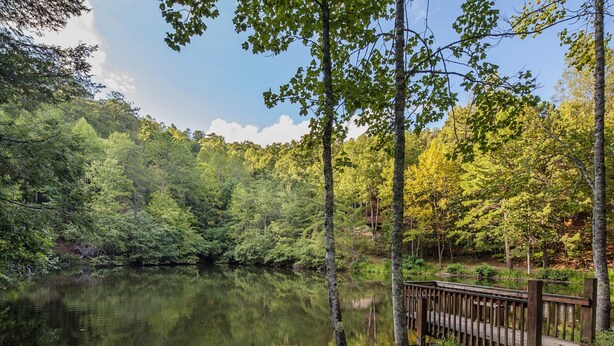 Un paysage paisible au bord d’un lac, avec une terrasse en bois et une forêt dense.