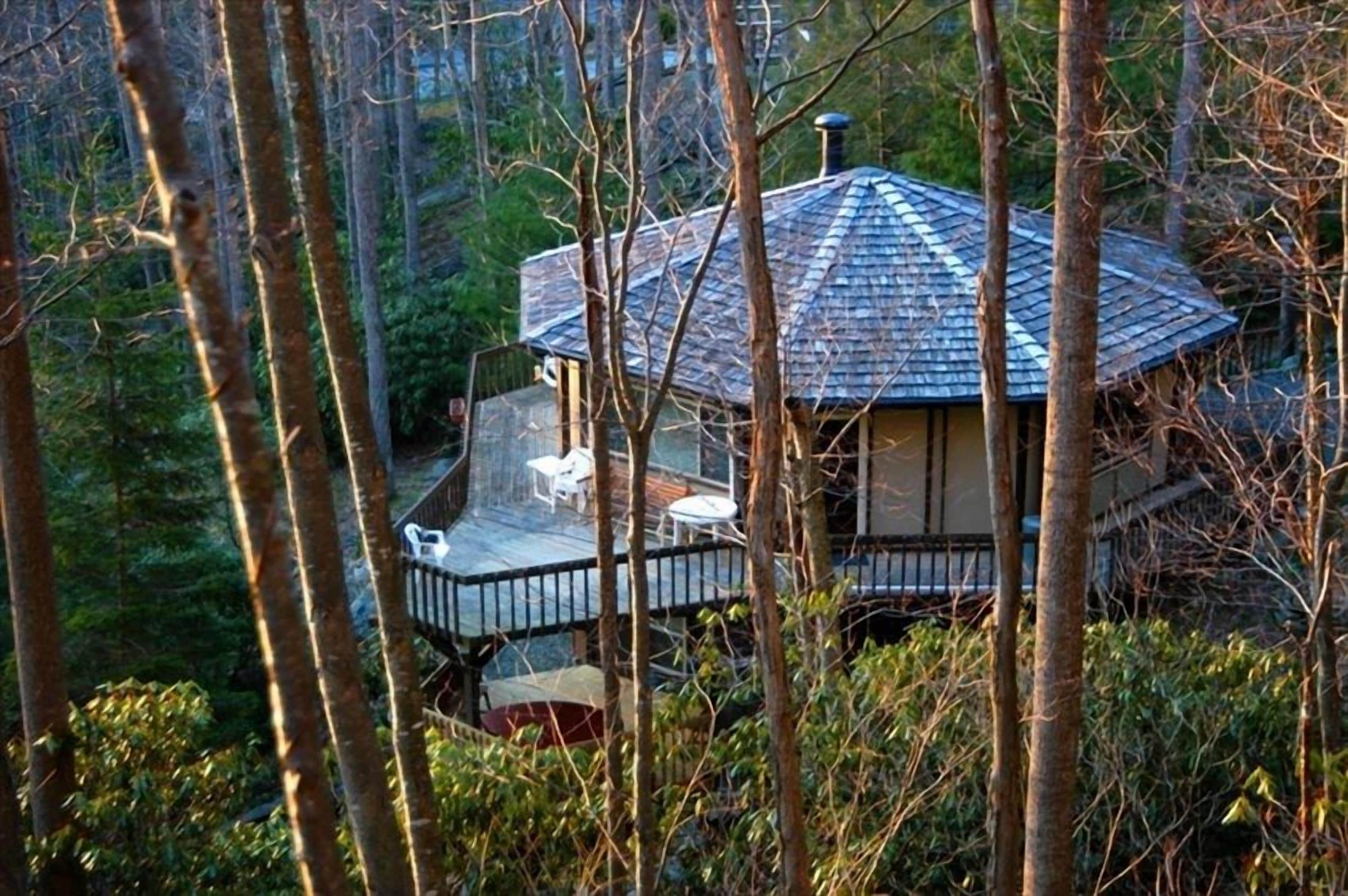 Paradise Cove - beautiful cozy cottage in the woods