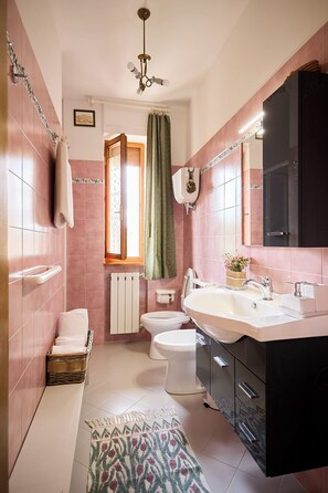 Regadera, secadora de cabello, bidet, toallas 