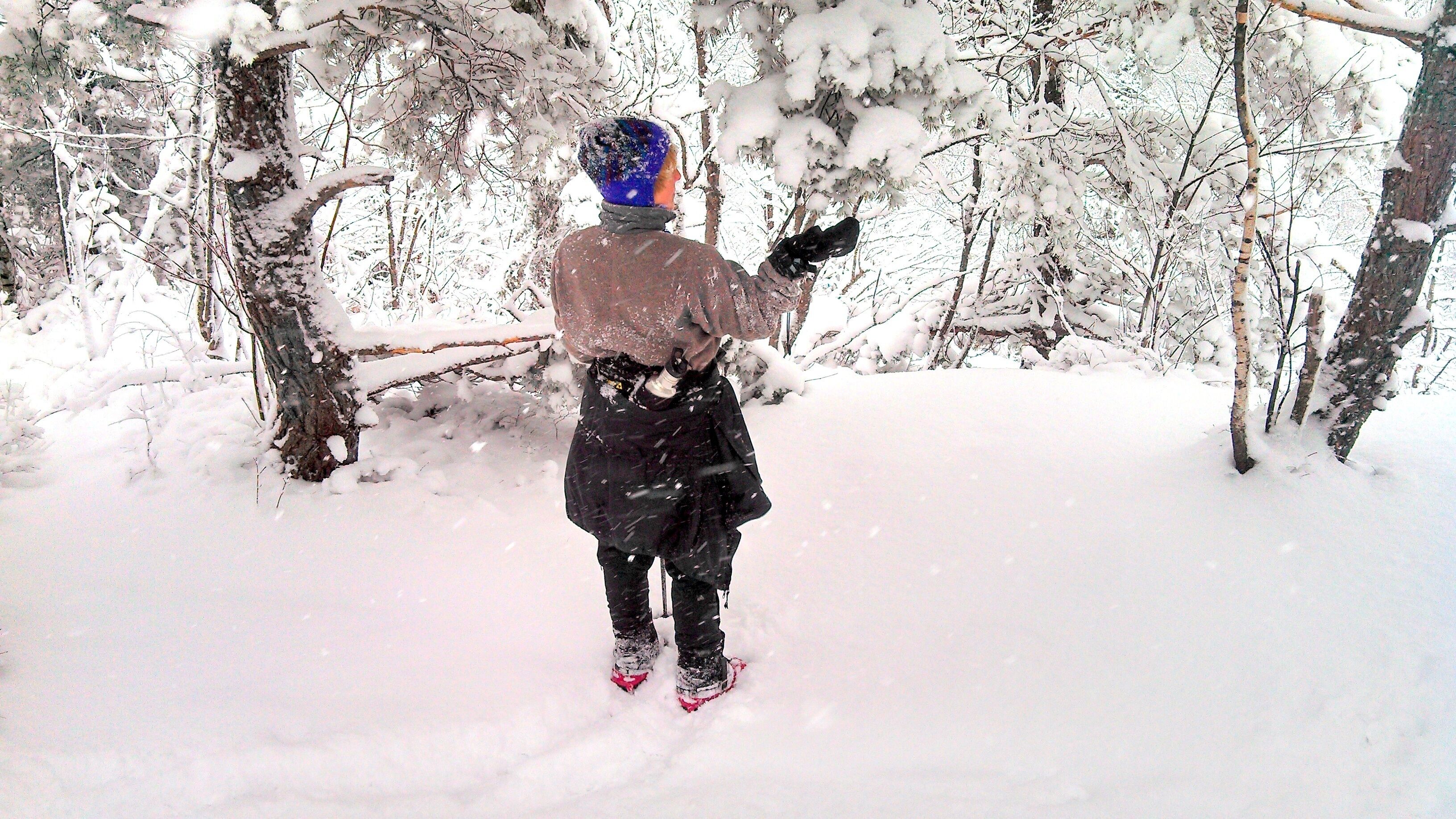 A person standing in a snowy forest.