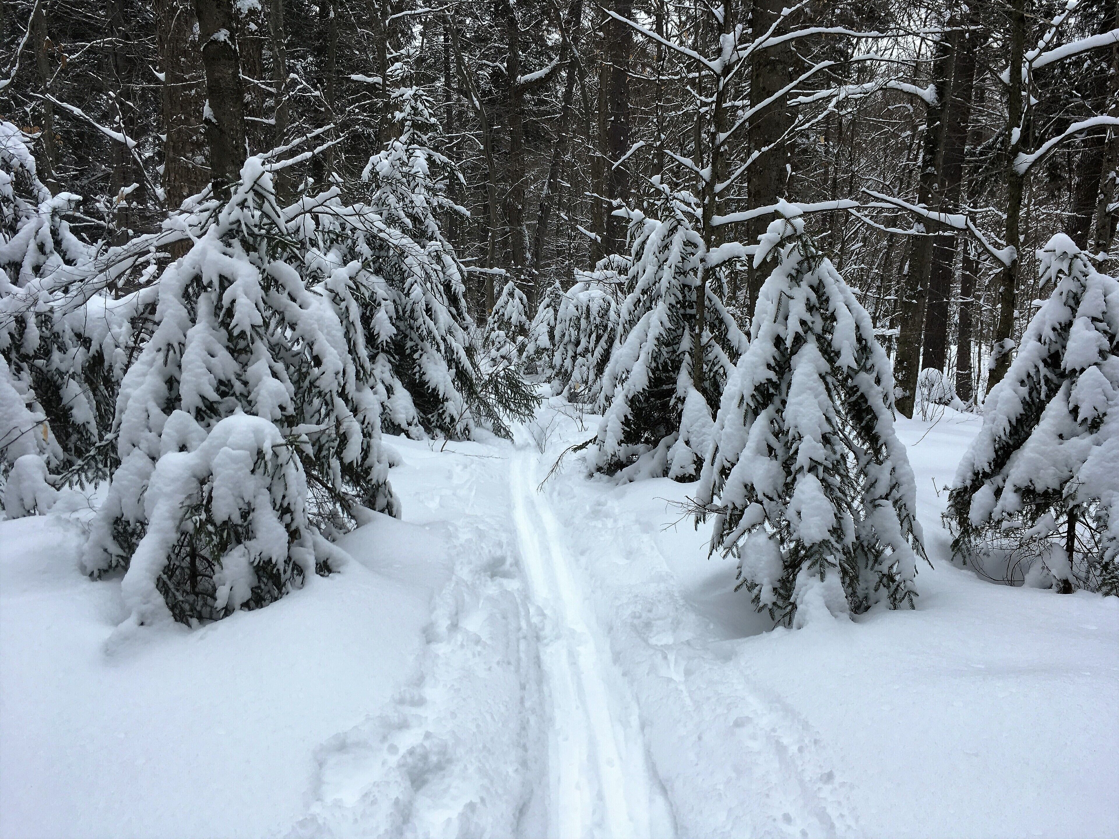 To love winter, go out and play in the snow! Moose Pond trail 10 mins. drive.