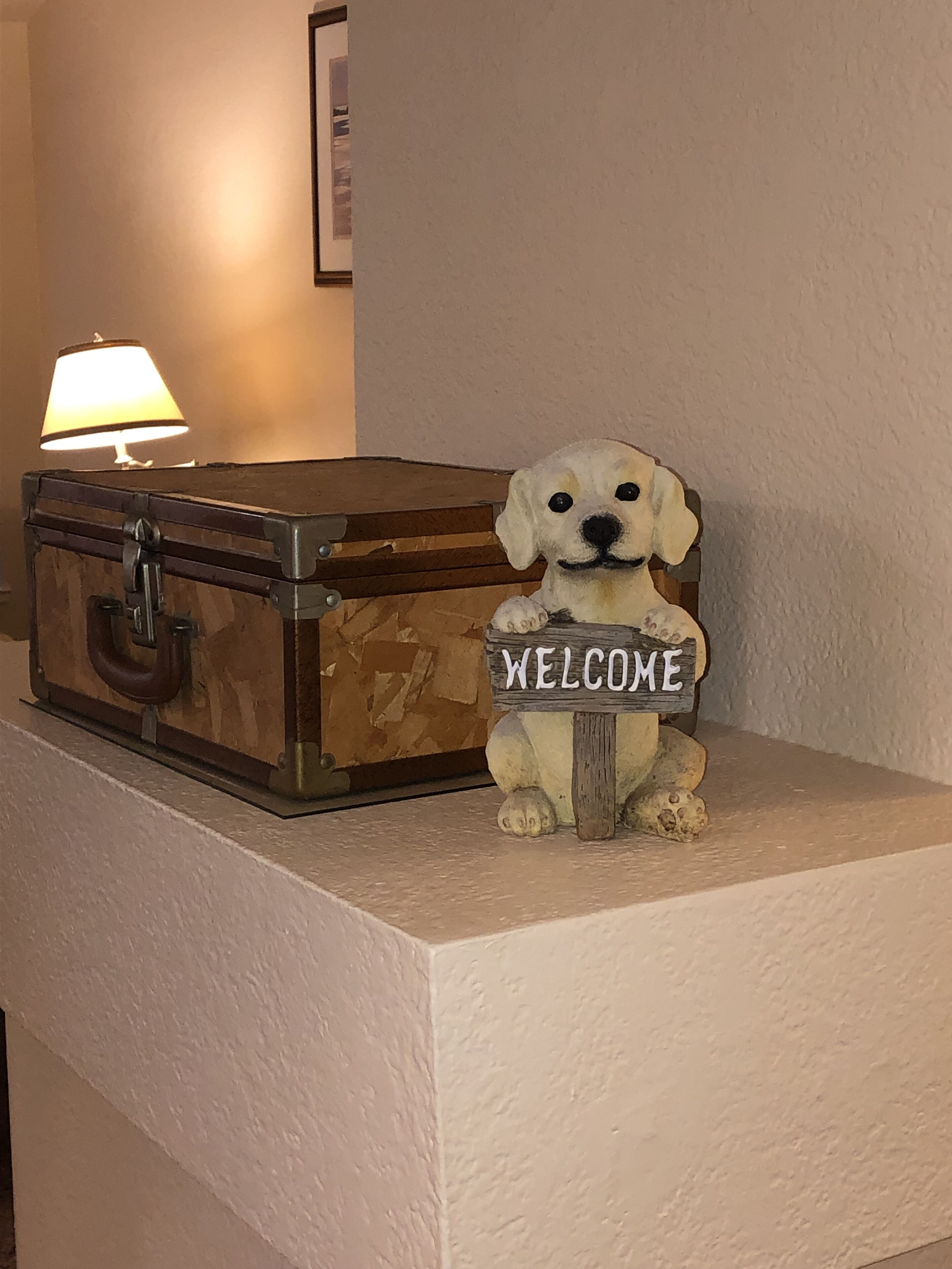 Beautiful family-friendly 1800 sq. ft. house with 4 bedrooms and 2 full baths!