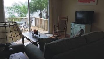 電視、壁爐、DVD 播放機、音響