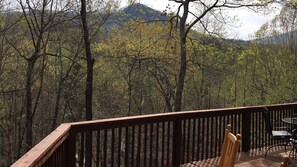 Property grounds - lake re-opening May 15th! (Lake Lure)