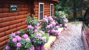 Une cabane en bois sur laquelle est accrochée une pancarte indiquant : « Cabane de Mary Ann ».