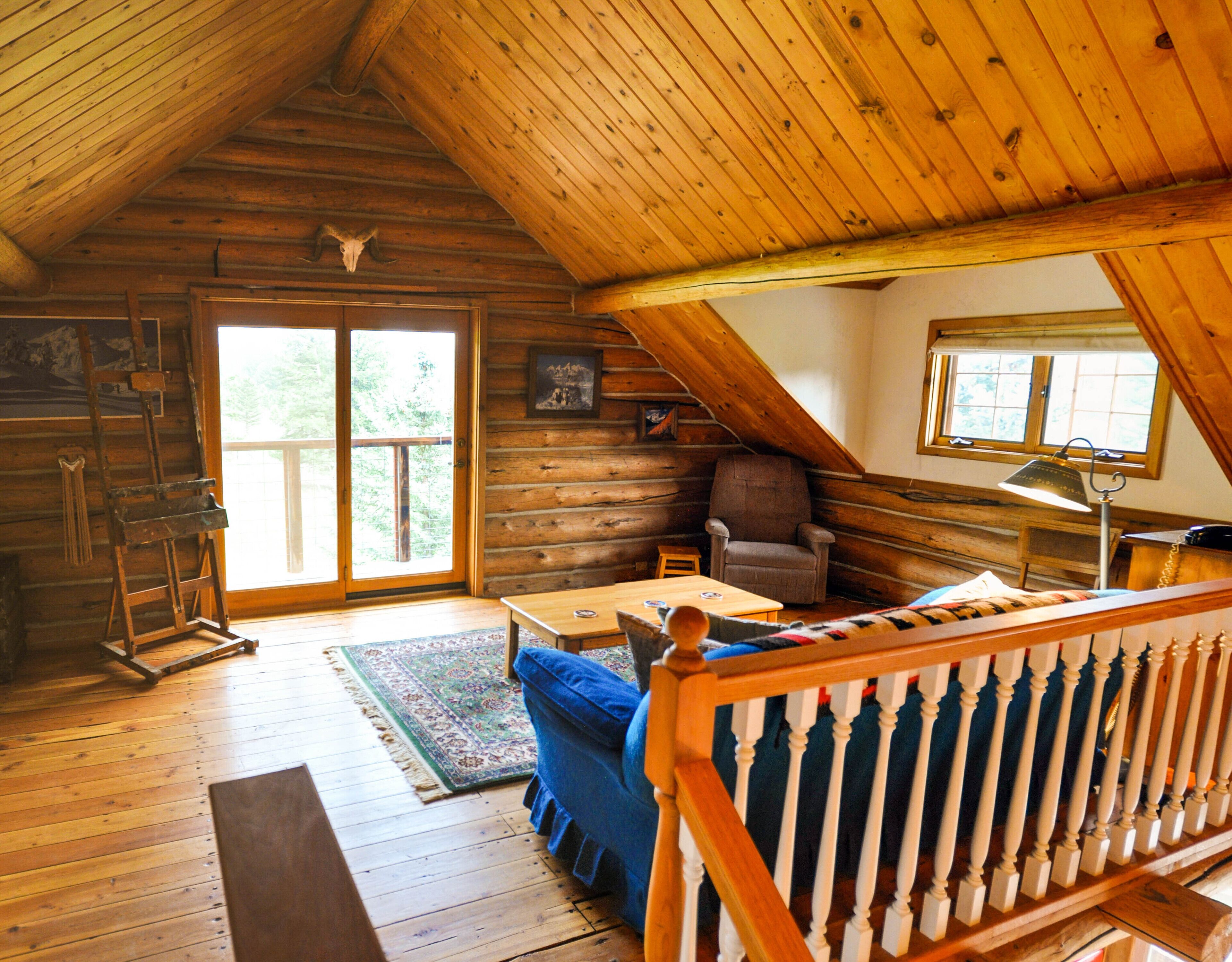 Télévision, cheminée, livres, médiathèque