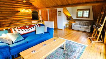 Fernseher, Kamin, Bücher, Musikbibliothek