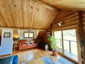 TV, fireplace, books, music library