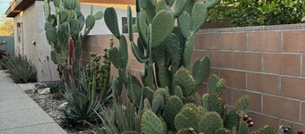 Desert Morada Casita M- 1 Bed 1 Bath Dog Friendly maximum 2-NO OTHER PETS