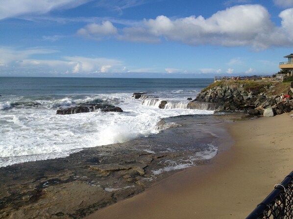 Enjoy breathtaking ocean views from the balcony overlooking the sandy beach and rocky coastline.